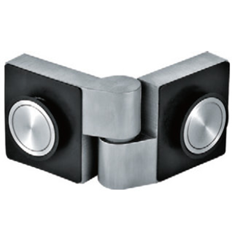Hinges de porte de douche