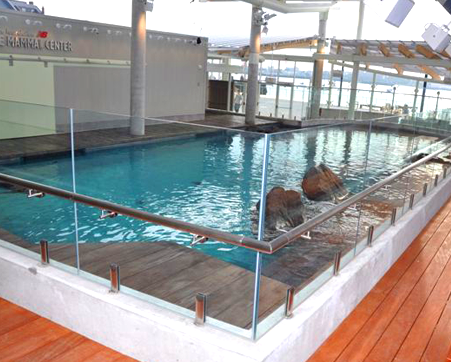 Garde-corps architecturaux-balustrade garde-corps pince de balcon carré sans cadre robinets en verre robinet de clôture de piscine